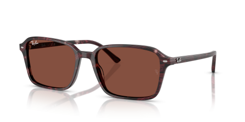 2231 SOLE RAIMOND