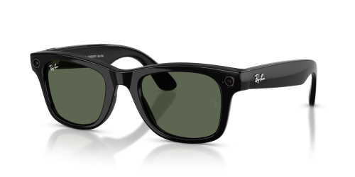 4012 ELECTRO WAYFARER