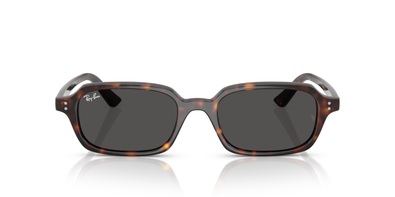 Ray-Ban RB 4455 Zuri 667781 Nero | Occhiale Da Sole Unisex